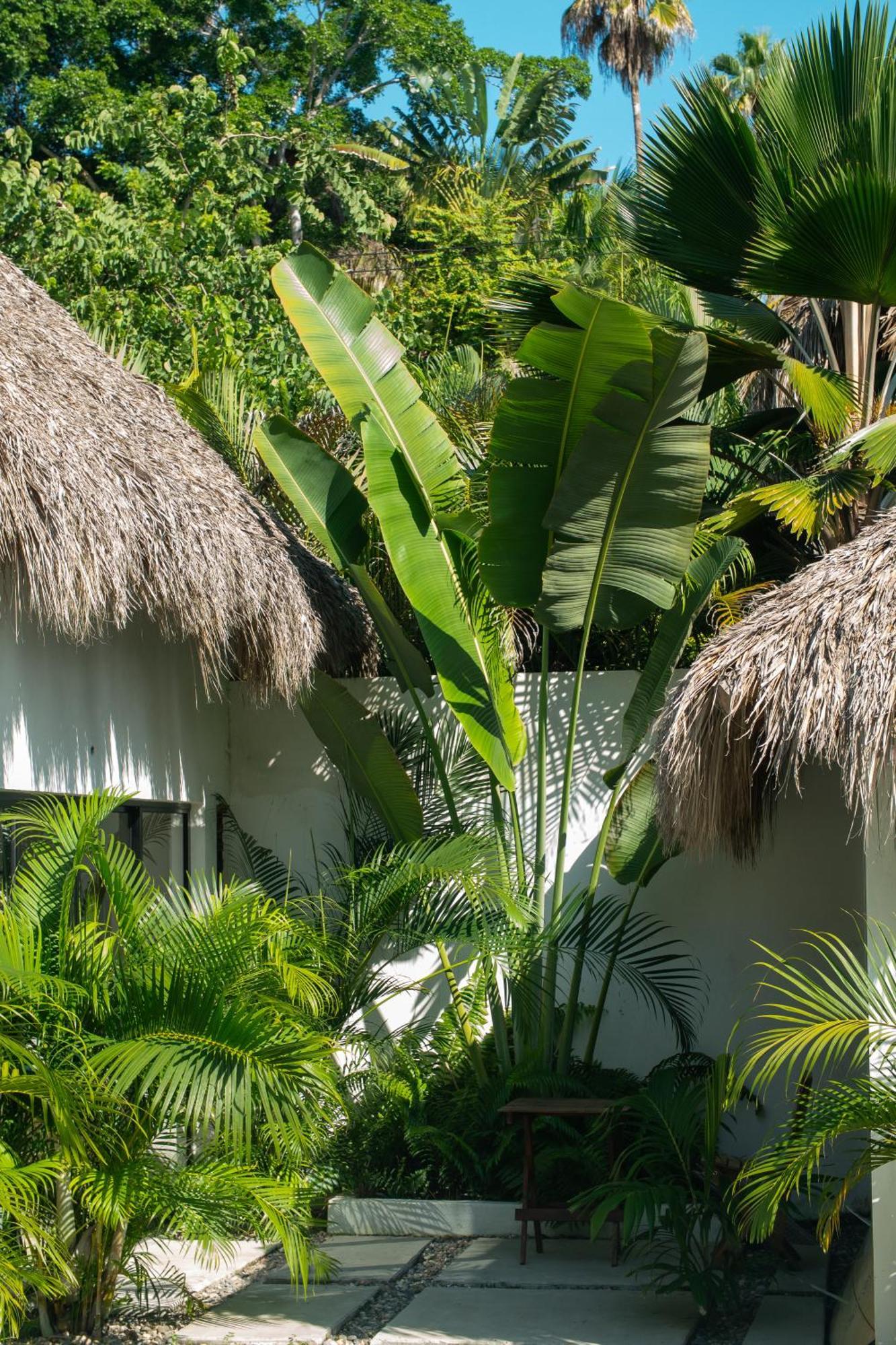 Sayulita Surf Bungalows Экстерьер фото