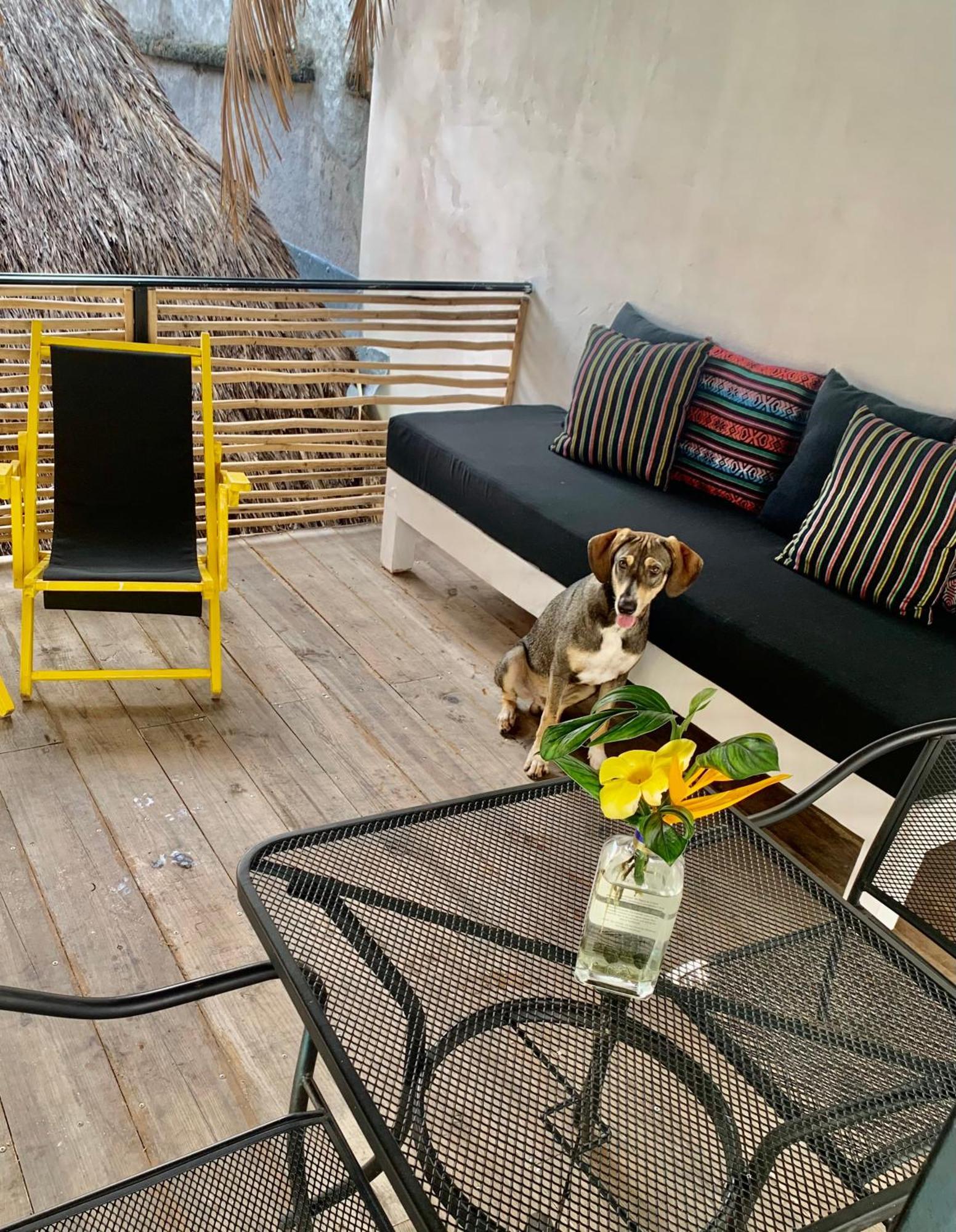 Sayulita Surf Bungalows Экстерьер фото